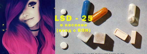 прущие грибы Балабаново