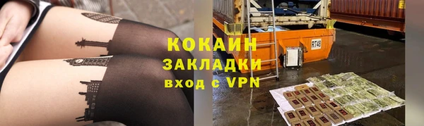 прущие грибы Балабаново