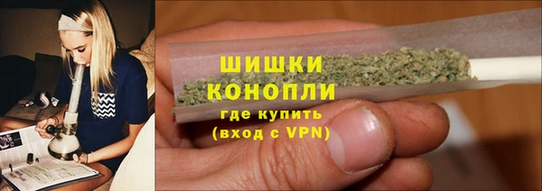 прущие грибы Балабаново