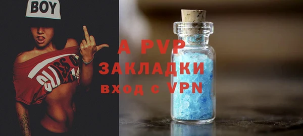прущие грибы Балабаново
