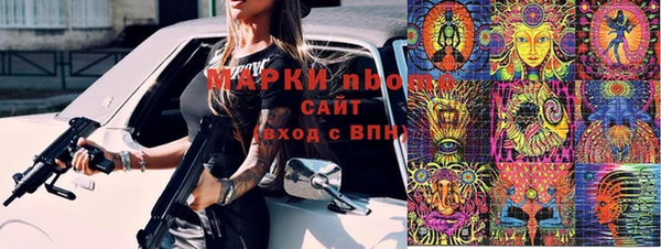 прущие грибы Балабаново