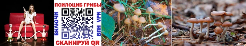 купить  цена  Лакинск  Псилоцибиновые грибы Magic Shrooms 